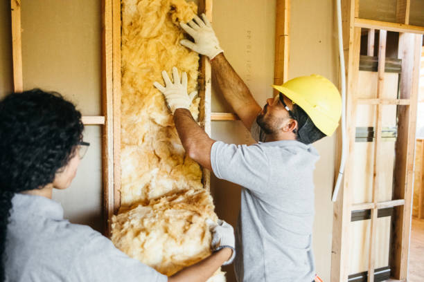 Types of Insulation We Offer in Maplewood, WA